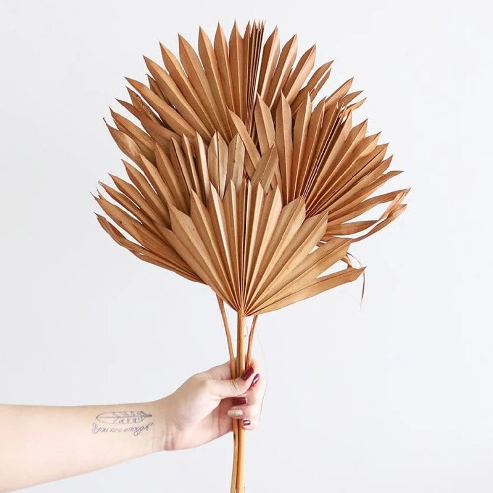 Bundle of 5 Afloral Terracotta Sun Palms - 14-20"